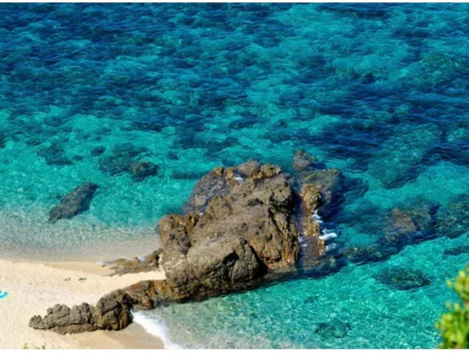 Le Cocon Bord De Mer Belgodère Exterior foto